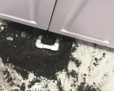周口市查漏水哪家好