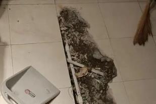 周口市卫生间漏水检测电话